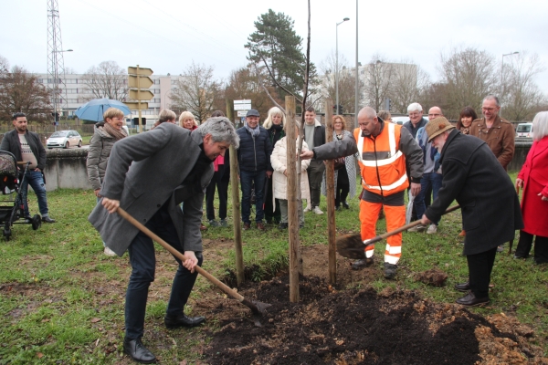 Charreaux : Plantation d'un noyer en hommage à Jeannette Guichard 