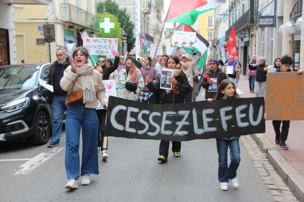 Plus de 100 manifestants pro-palestiniens ce samedi dans les rues de Chalon-sur-Saône