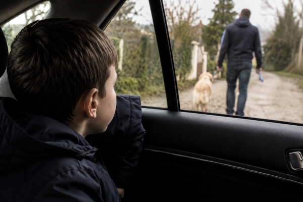 Abandon d’un chien ou d’un chat : un traumatisme parfois durable pour l’enfant