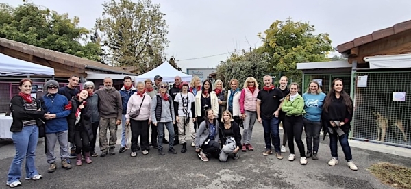 Succès retentissant des Portes ouvertes de la SPA du Chalonnais : 12 projets d’adoption confirmés et une mobilisation record !