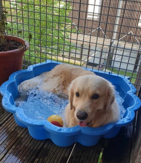 Les patients du kiné Renko Zelenkauskis offrent des piscines à la SPA du Chalonnais