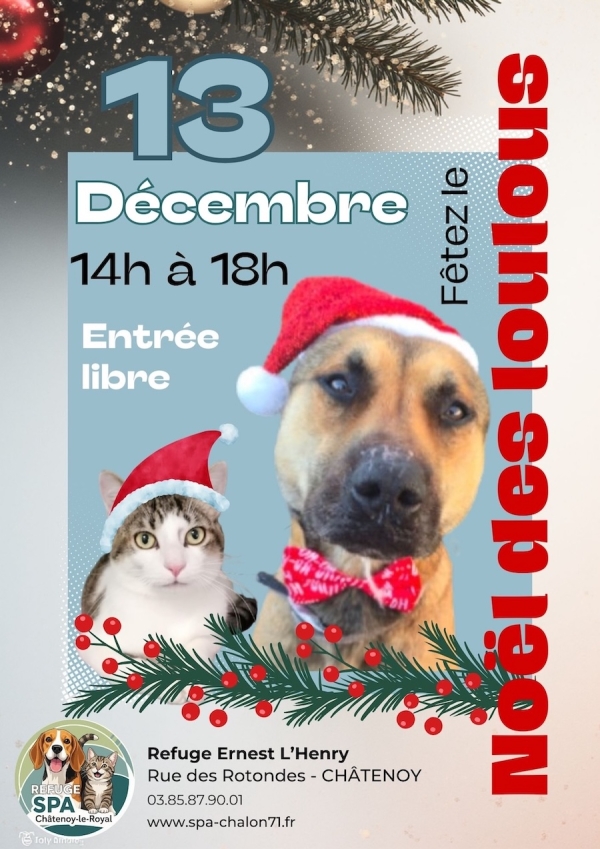 Samedi 13 décembre : après-midi de Noël solidaire au refuge. Adoptions et conseils d’experts