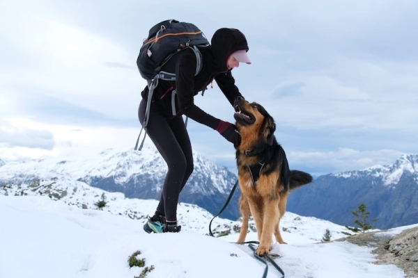 Balto : quand une bénévole de la SPA “craque” pour un pensionnaire… difficile !