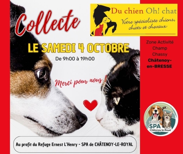 Châtenoy-en-Bresse, samedi 4 octobre : soyez solidaire avec les pensionnaires de la SPA