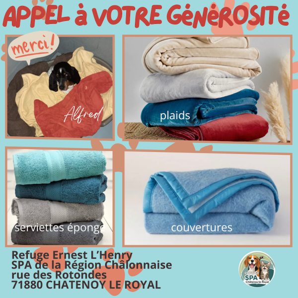 Aidez-nous à protéger nos pensionnaires du froid : SOS couvertures