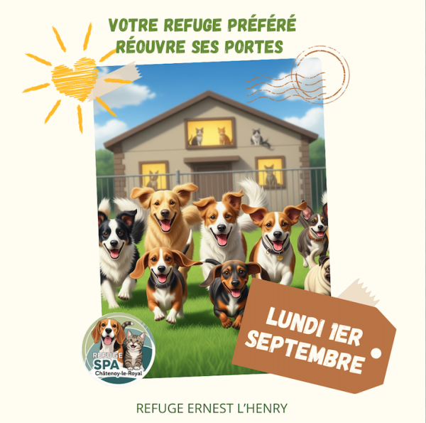 Réouverture de la SPA du Chalonnais le 1er septembre