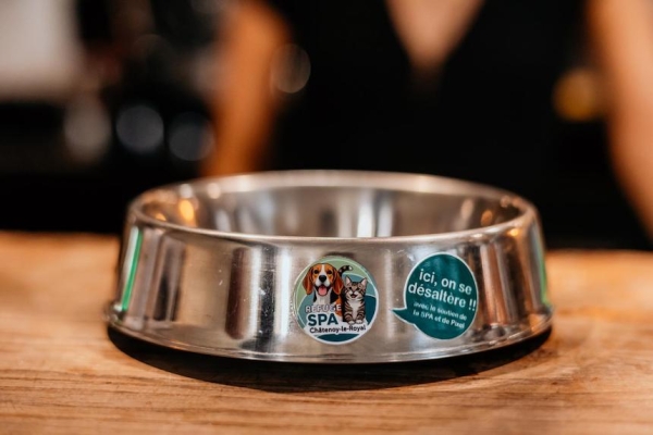 « Ici, on se désaltère ! » Pour rafraîchir nos compagnons à quatre pattes, les bars du centre-ville se mobilisent !