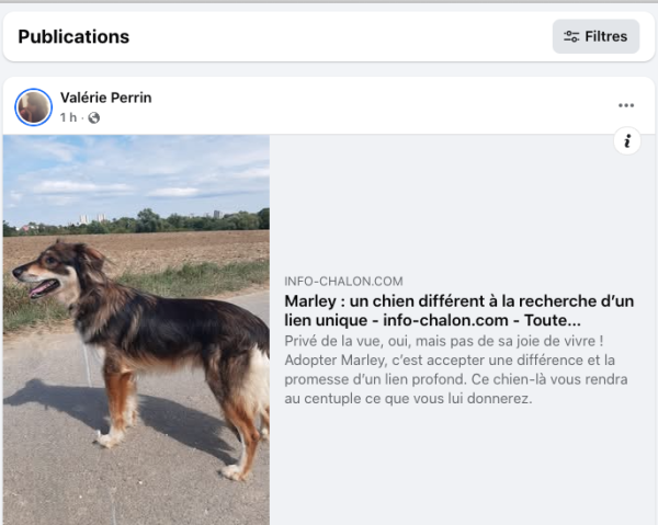 Valérie Perrin, un coup de pouce pour Marley. Le clin d'oeil d'Infochalon