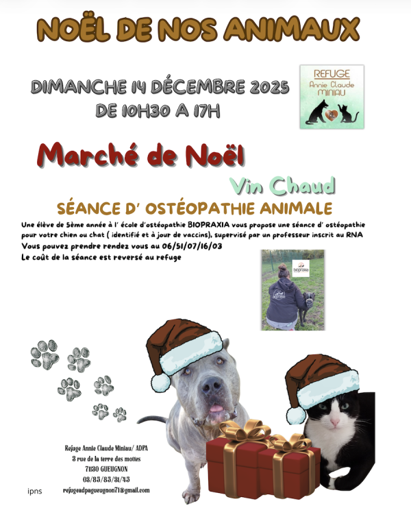 Venez au “Noël des animaux” à la SPA de Gueugnon, dimanche 14 décembre
