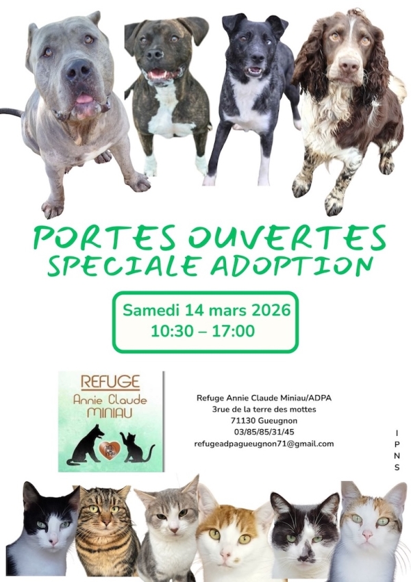 GUEUGNON : Samedi 14 mars, journée “spéciale adoption” à la SPA