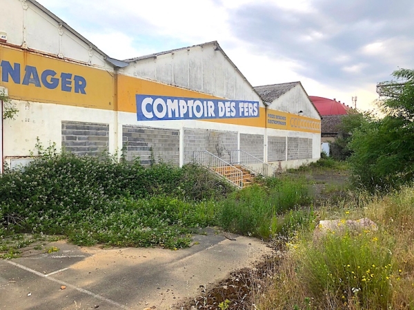 Quand la nature reprend ses droits sur l’activité humaine