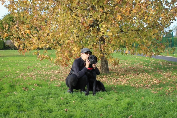 Urius débarque à Chalon : le labrador qui va vous faire marcher droit !