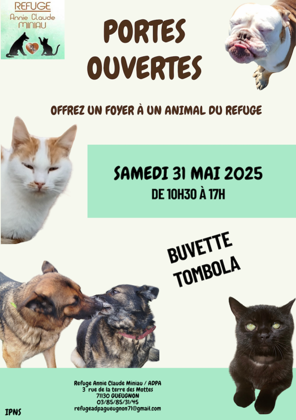 Adopter, c’est réparer – Journée spéciale adoption au refuge de Gueugnon