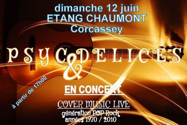 Psyc&Delices, groupe de musique donne un concert Pop Rock dimanche 12 juin à 17h00 à l'étang Chaumont de Châtenoy le Royal