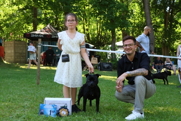 Le coup de cœur d'Info Chalon - Ines 9 ans : de nombreux palmarès à son actif pour cette passionnée par les expositions canines et présentations de Staffordshires Bull Terrier.