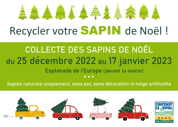 Recyclage des sapins de Noël, Châtenoy le Royal met en place un point de collecte