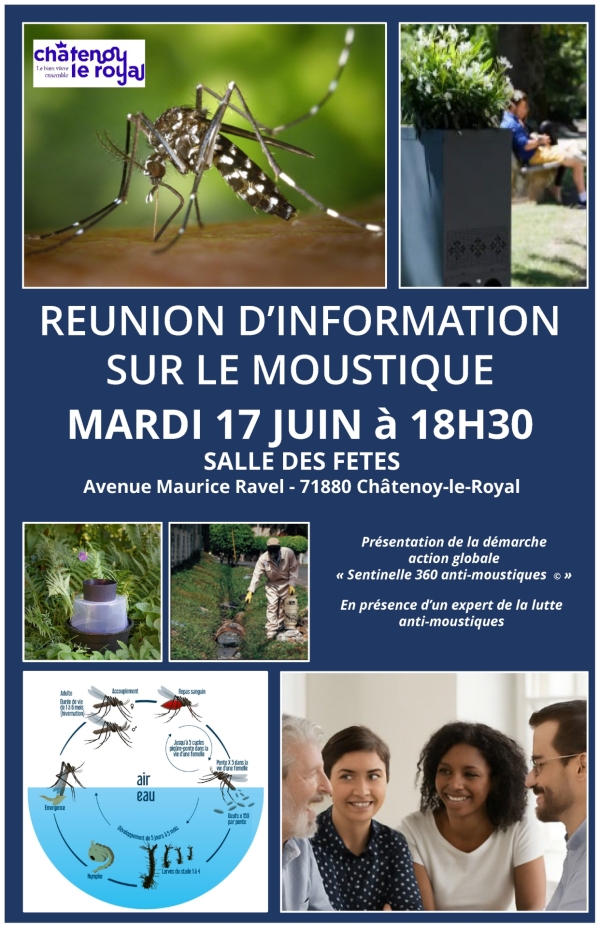 Châtenoy le Royal : Réunion d’information relative aux moustiques mardi 17 juin 2025 à 18 heures 30 à la salle des fêtes.