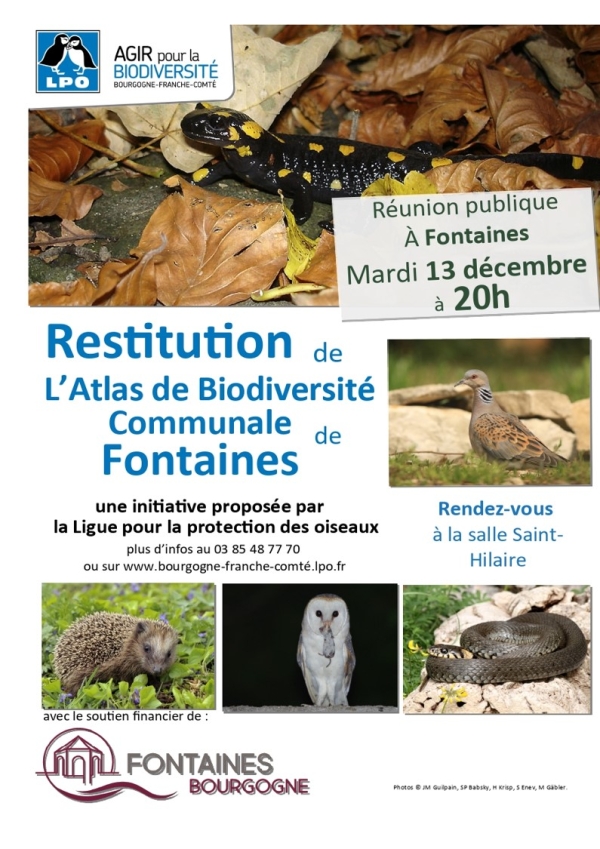 Restitution de l'Atlas de biodiversité communale de Fontaines le 13 décembre à 20h00 salle Saint Hilaire.