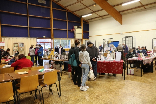 3ème édition du salon du livre organisé par l’association Lux en fête et la mairie de Lux.