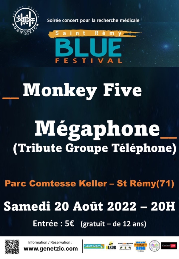 Blue Festival, une soirée concert pour la recherche médicale samedi 20 Août à 20h00 au parc de la Comtesse Keller à Saint Rémy.