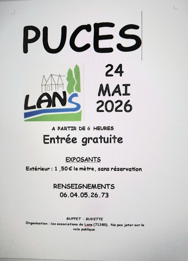 Marché aux puces à Lans : rendez vous ce dimanche 24 mai dès 6h