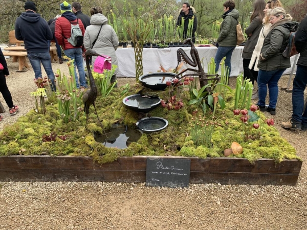 Stand des plantes carnivores de Philippe et Hélène Depiets