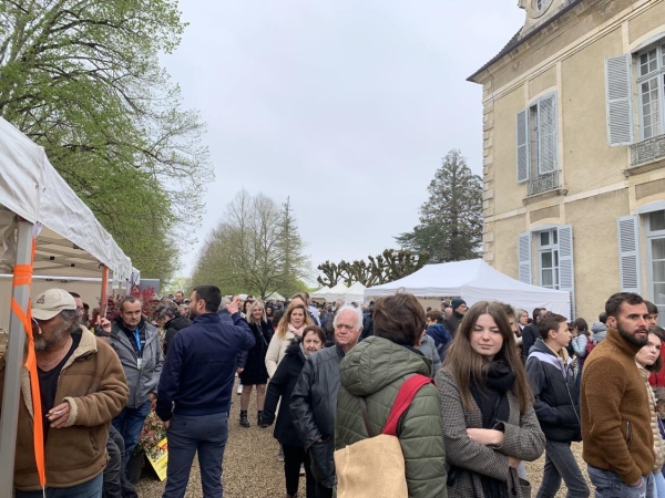 foire aux plantes 8