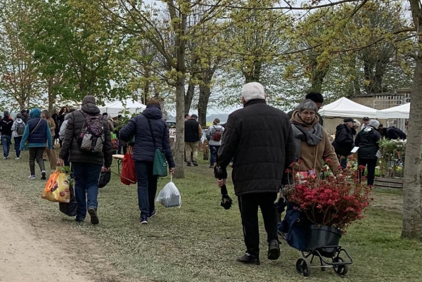 foire aux plantes 2