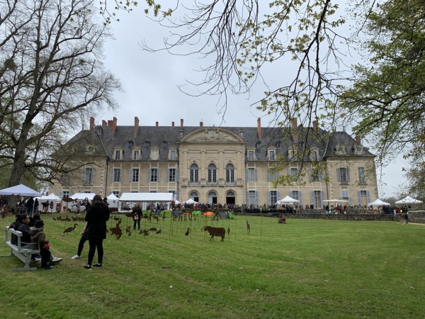 Rencontre avec les exposants de l'Edition 2023 de la Foire aux plantes de la Ferté