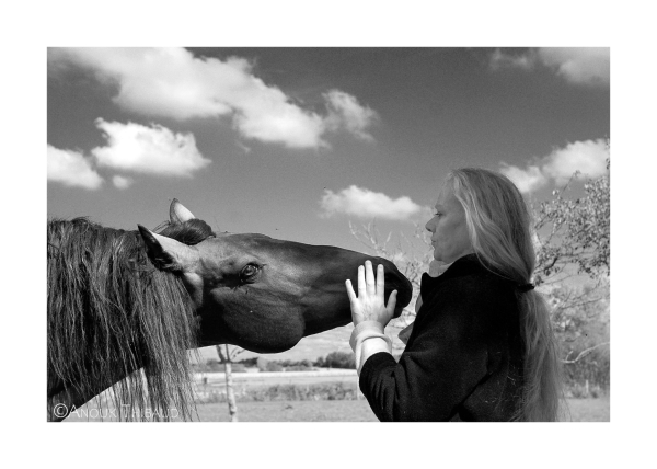 Un livre, des photos, des chevaux, Carina Mac Laughlan…et la sublimation crève l’écran