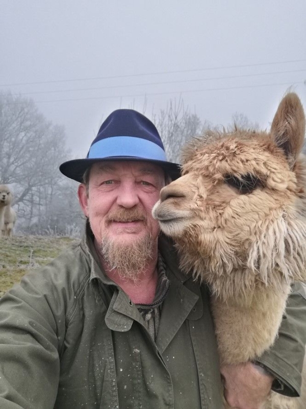 Lamas et alpagas, bien réfléchir à tous les paramètres avant une adoption 