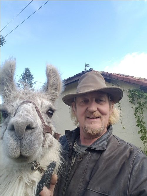 Qu'est-ce qu'il les aime ses lamas, Johnny, mais qu'est-ce qu'il les aime !