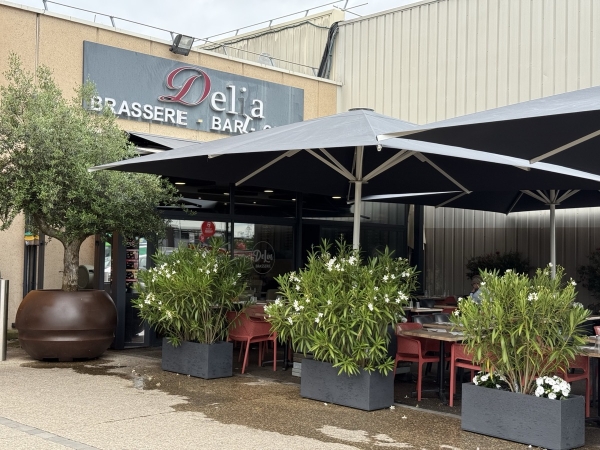 Nicolas Bailly, horticulteur passionné, a contribué à l’embellissement de la Brasserie Delia !