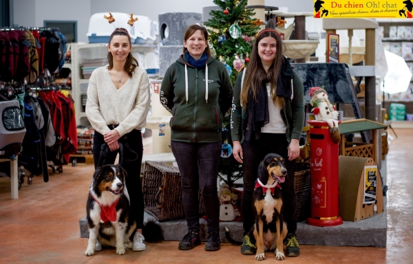 Du Chien Oh ! Chat : idées cadeaux pour gâter vos animaux et équiper les passionnés d’équitation