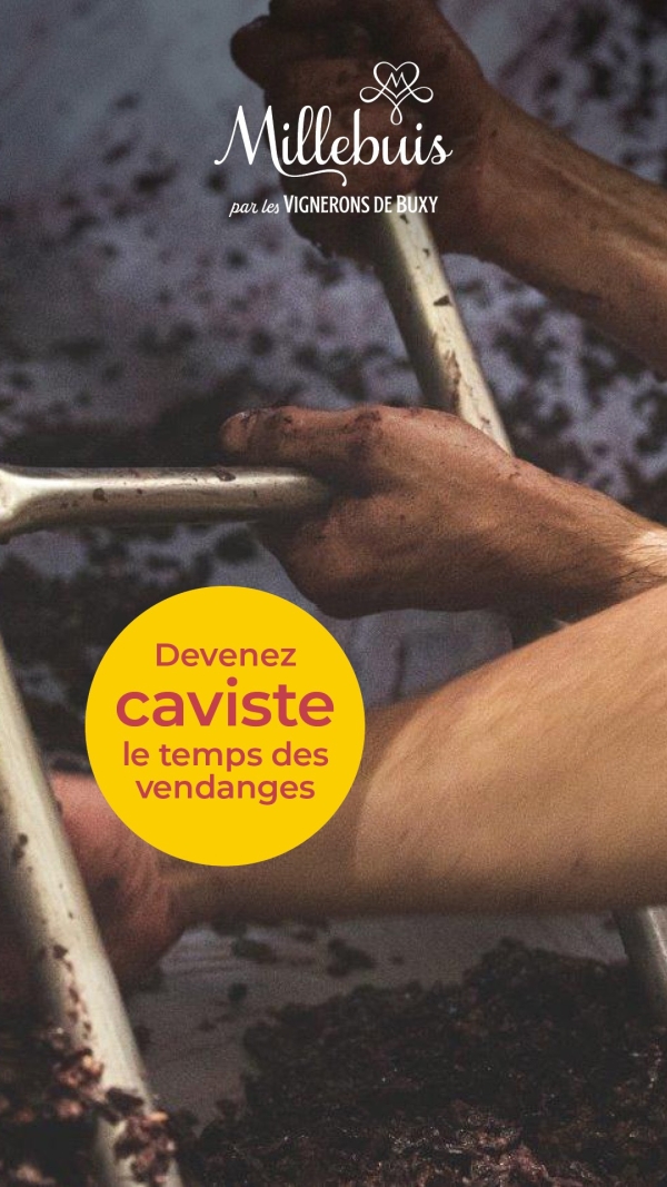 La Cave Des Vignerons De Buxy Recrute